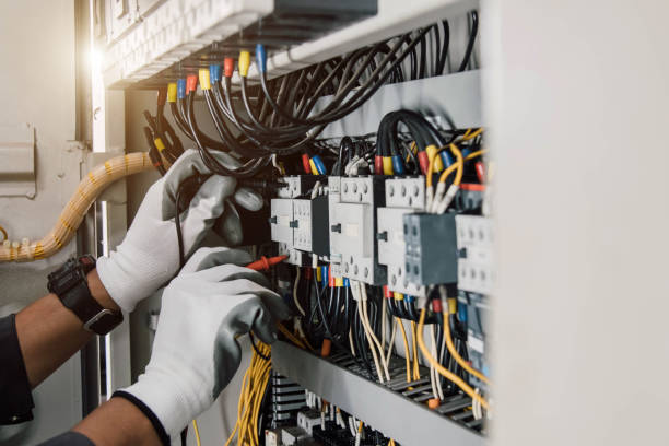 Best Electric Panel Repair  in Bishopville, SC